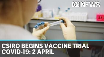 CSIRO begins trial on two potential COVID-19 vaccines: Coronavirus update 2 April | ABC News