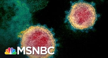 Infectious Disease Expert's Plan To Crush Coronavirus In 10 Weeks | The 11th Hour | MSNBC