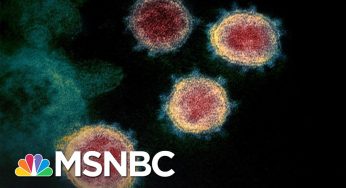 U.S. Coronavirus Death Toll Is Now Higher Than 9/11 Terror Attacks | The 11th Hour | MSNBC
