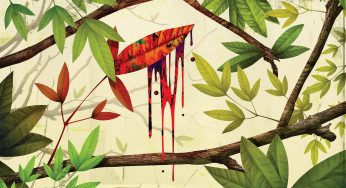 Stopping Deforestation Can Prevent Pandemics