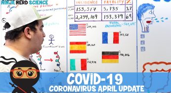 COVID-19 | Coronavirus: Epidemiology, Pathophysiology | APRIL UPDATE