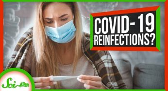 Does Getting COVID-19 Make You Immune to It? | SciShow News