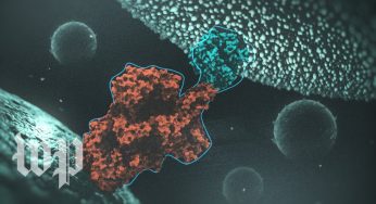 The novel coronavirus is a master of disguise: Here's how it works