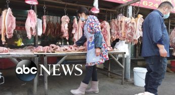 Tracking the coronavirus origins | ABC NEWS PRIME