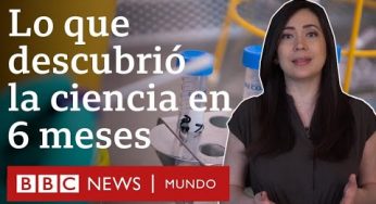Coronavirus: 4 descubrimientos clave de la ciencia en los primeros 6 meses de la pandemia