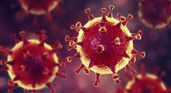 Der Coronavirus und seine Rechtsfolgen