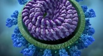 How COVID-19 Affects the Body