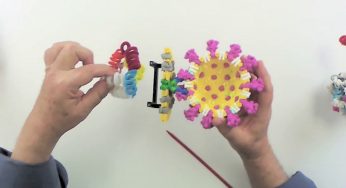 The Science of Coronaviruses: Replicating and Translating Coronavirus RNA