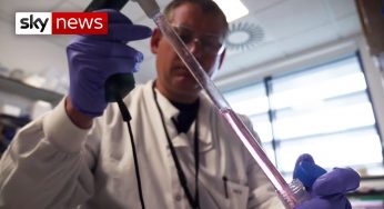 UK government 'betting on COVID-19 vaccines that may not work', scientists warn