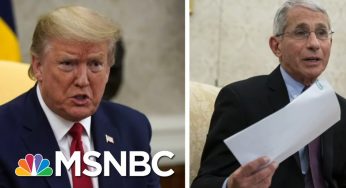 Upset By Fauci's Message On COVID-19, Trump, Right-Wing Media Attack The Messenger | MSNBC