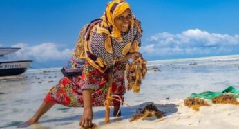 $54M Project to Create Youth Jobs in Zanzibar’s Blue Economy