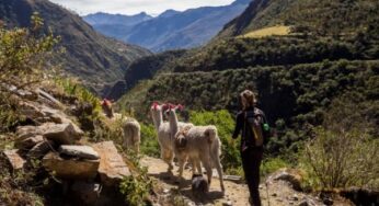 Foreign tourists in Peru spend much more